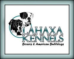 Lahaxa Kennels