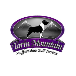 Tarin Mountain Staffordshire Bull Terriers