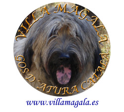 VILLA MAGALA Gos dAtura Catala
