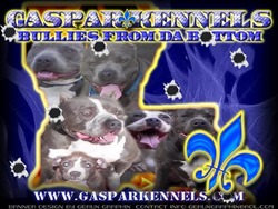 Gasparkennels.com