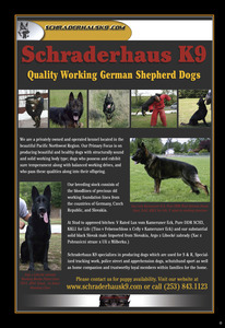 Schraderhaus K9