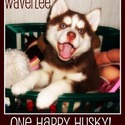 Puppy Lov Kennels