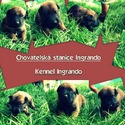 Ingrando