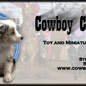 Cowboy Capital Kennels