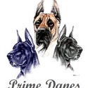 Prime Danes