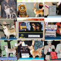 Tocute.com