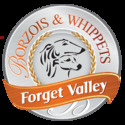 Forget Valley