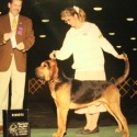 Thunder Valley Bloodhounds