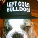 Left Coast Bulldogs