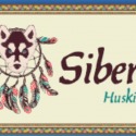 Siberia Husky Kennel