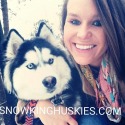 SNOW KING HUSKIES (snowkinghuskies@gmail.com)