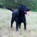 Shallow Creek Farm, LLC
