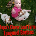 Tupa's Clover Leaf Farm