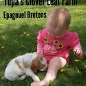 Tupa's Clover Leaf Farm