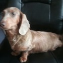 BoBo Weinners