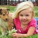 Farrow's Country Collies