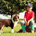 Farrow's Country Collies