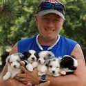 Lindsey's Aussies