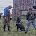 The Wolf Clan Kennel
