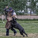 The Wolf Clan Kennel