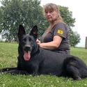 The Wolf Clan Kennel