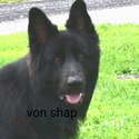 von shap haus
