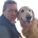 Happy Golden Retriever