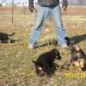Banks' GSD
