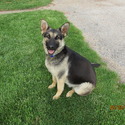 cshanle@frontier.com
