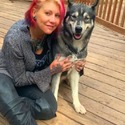 Above The Clouds (ATC) Siberian Service Dogs