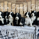 Griffin Family Farms
