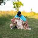 2J 2K Border Collies