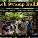 Black Swamp Bulldogs