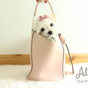 Teacup Mini Maltese for sale - Leo - a Maltese puppy