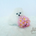 ELIEN -
