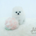 ELIEN -