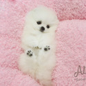 ELIEN -