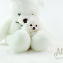 Teacup Toy Pomeranian For Sale - Gucci - a Pomeranian puppy