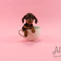 Adorable Teacup Dachshund For Sale - Molly - a Dachshund puppy