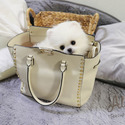 Micro Teacup Pomeranian Puppies For Sale - Cartier - a Pomeranian puppy