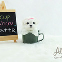 Micro Teacup Maltese Puppies - Latte - a Maltese puppy