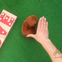 Toy Teacup Poodle Puppies For Sale - a Poodle puppy