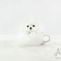 Mini Teacup Pomeranian For Sale - Marshmallow - a Pomeranian puppy