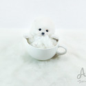 Mini Teacup Pomeranian For Sale - Marshmallow - a Pomeranian puppy
