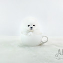 Mini Teacup Pomeranian For Sale - Marshmallow - a Pomeranian puppy
