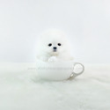 Mini Teacup Pomeranian Puppies For Sale - Marshmallow - a Pomeranian puppy
