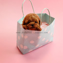 Mini Teacup Poodle Puppies For Sale - Macaron - a Poodle puppy