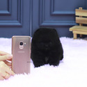 Teacup Teddy bear Pomeranian Puppies For Sale - Poppy&Ava - a Pomeranian puppy