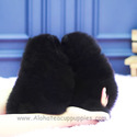 Teacup Min Pomeranian Puppies For Sale - Poppy&Ava - a Pomeranian puppy