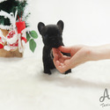 Teacup Toy French Bulldog Puppies For Sale - Bella - a French Bulldog puppy
